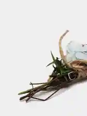 Пастельно-коралловый сухоцветы для эпоксидной смолы