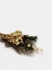 Бордовый сухоцветы для эпоксидной смолы