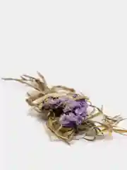 Коралловый сухоцветы для эпоксидной смолы