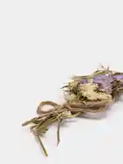 Коралловый сухоцветы для эпоксидной смолы
