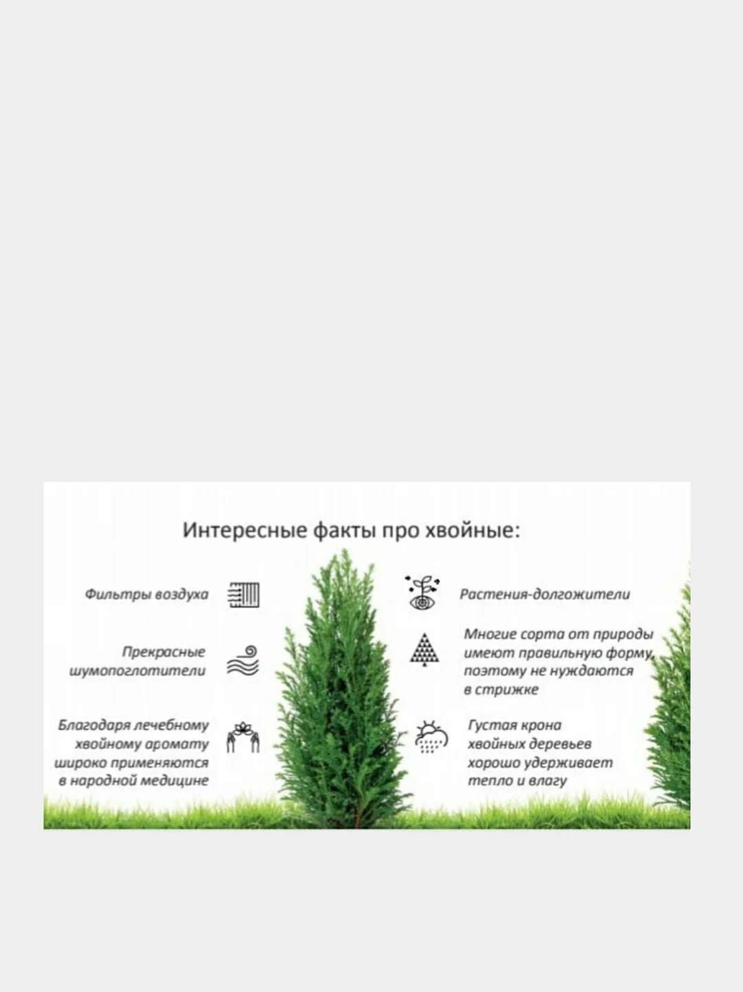 Удобрение Нутривант плюс Хвойные вечнозелёные 2 объёма