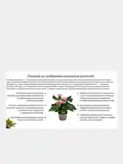 Удобрение Нутривант плюс комнатные и балконные цветы 2 объёма