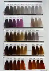 Стойкая крем-краска 7УГТ Epica Professional Color Shade Hair Color Cream