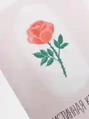 Открытка "Истинная красота скрыта внутри"