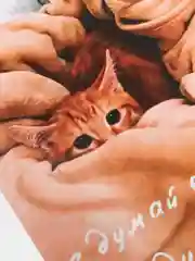 Открытка "Не думай о плохом думай о котиках"