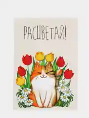 Окрытка "Расцветай!"