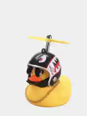 Угольный утка в машину