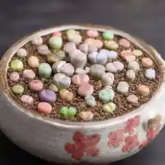 Литопсы СЕМЕНА Живые камни (mix)-25 шт