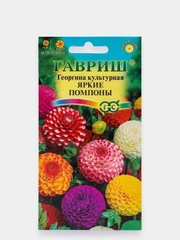 Семена Георгина "Яркие помпоны"