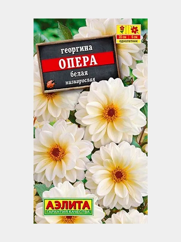 Семена Георгина  Опера  белая низкорослая