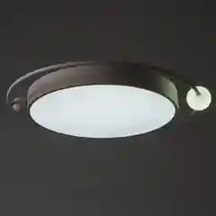 Люстра с ПДУ 1220/1WT