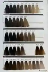 Стойкая крем-краска 10УГТ Epica Professional "Color Shade Hair Color Cream"
