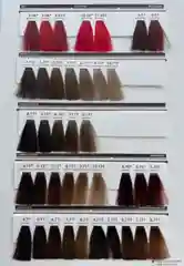 Стойкая крем-краска 10УГТ Epica Professional "Color Shade Hair Color Cream"