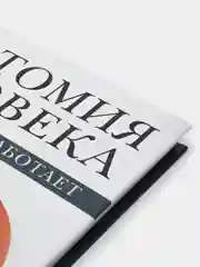 Анатомия человека