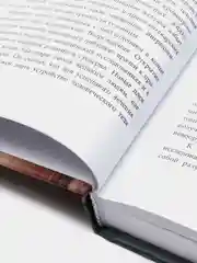 Анатомия человека