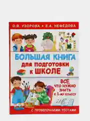 Большая книга для подготовки к школе