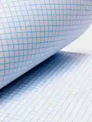 Тетрадь общая Сестры