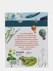 100 тысяч почему, Малов Владимир Игоревич