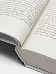 Книга Балтиморов, Диккер Ж