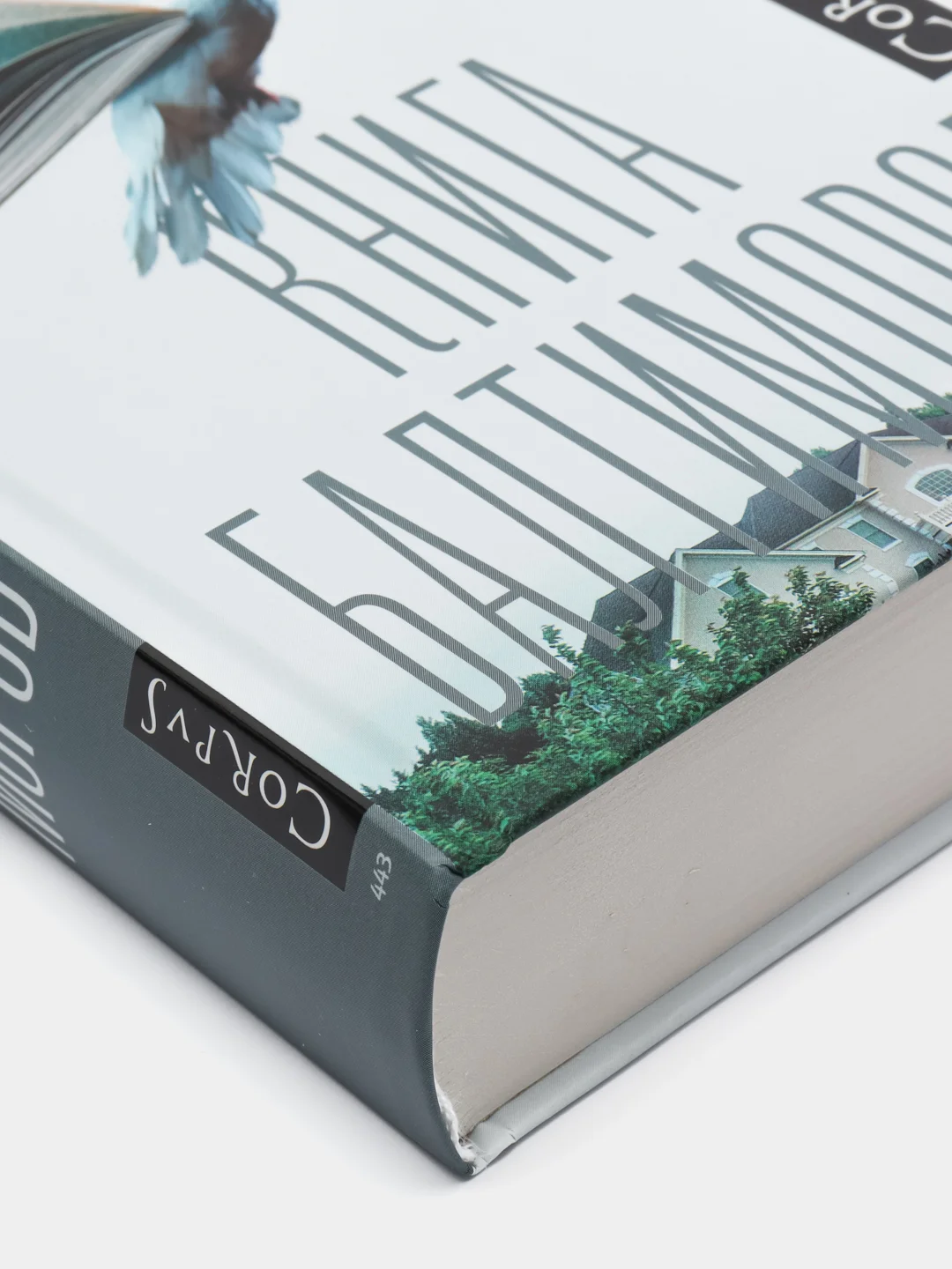 Книга Балтиморов, Диккер Ж