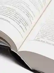 Биоастрология. Современный учебник астрологии нового поколения