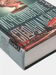 Исчезновение Стефани Мейлер, Диккер Жоэль
