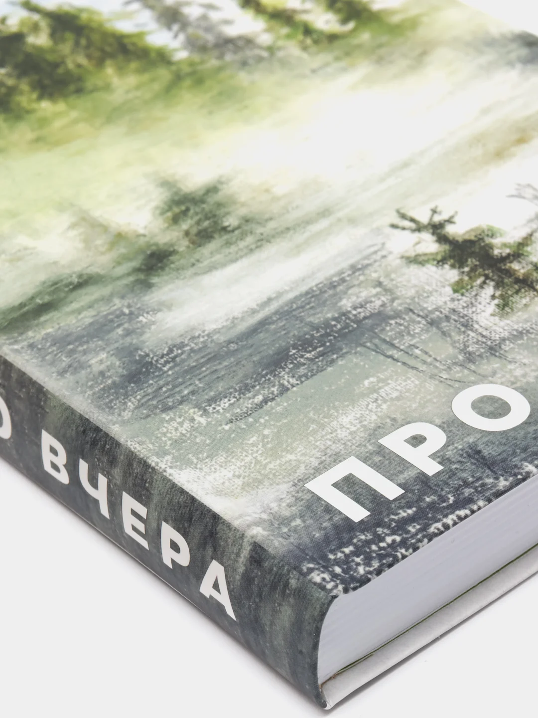 Про вчера, С.Шойгу