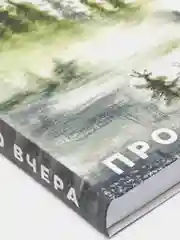 Про вчера, С.Шойгу
