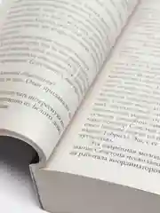 Точка обмана