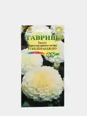 Семена цветы "Бархатцы Килиманджаро"