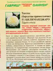 Семена цветы "Бархатцы Килиманджаро"