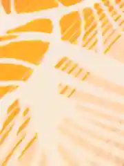 Плед