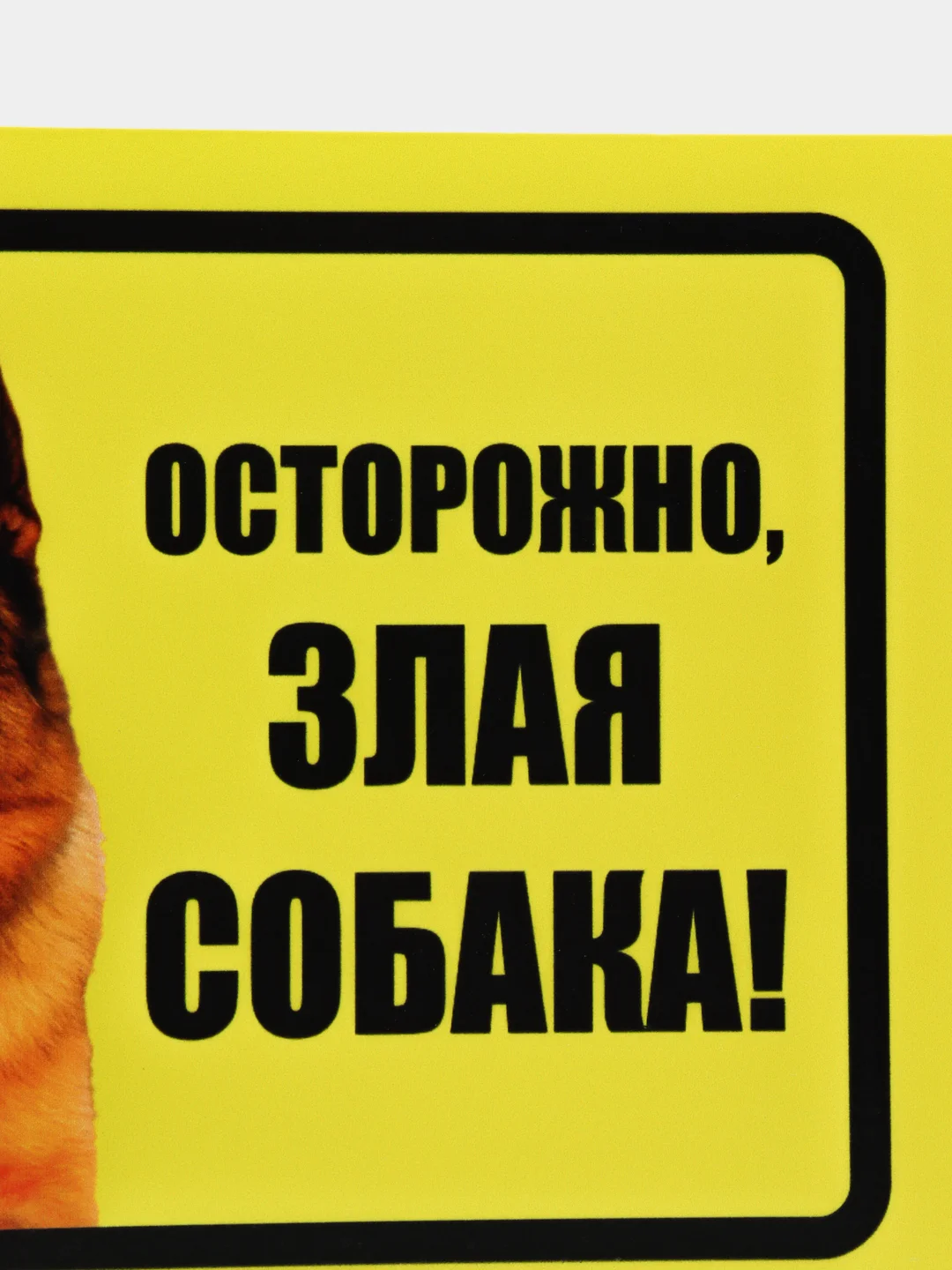 Табличка "Осторожно, злая собака!"