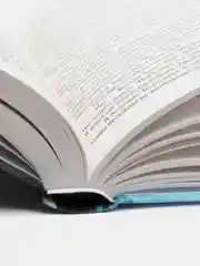 Ведьмак. Кровь эльфов. Час презрения. А. Сапковский