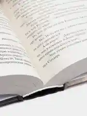 Под Куполом