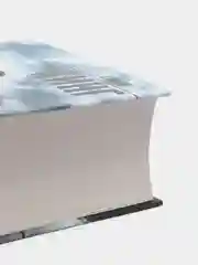 Противостояние