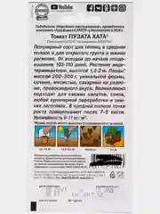 Семена томата "Пузата хата", 20 штук