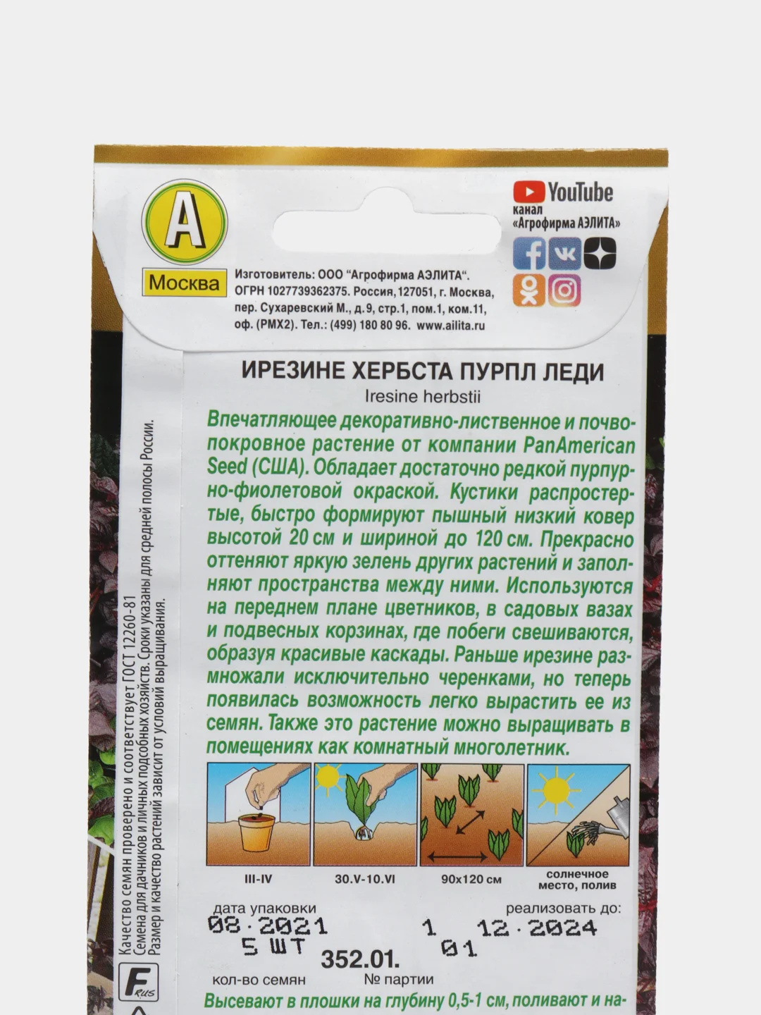 Ирезине Пурпл леди (семена) цветы