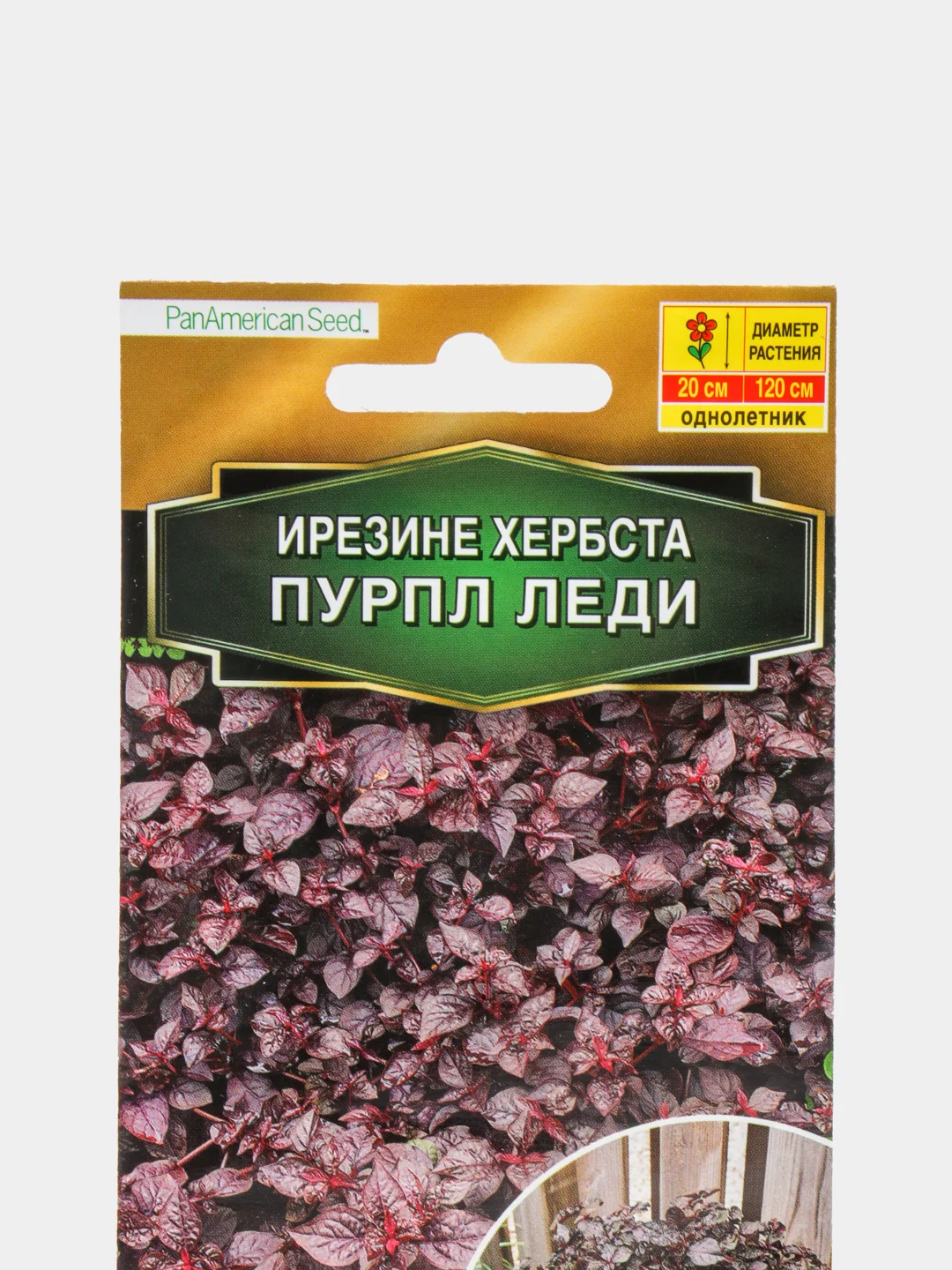 Ирезине Пурпл леди (семена) цветы