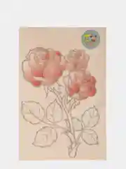 Коралловый меланж доска для выжигания Тутси, дерево