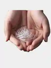 Лунка  палетка для клея 10шт наращивание ресниц Кит