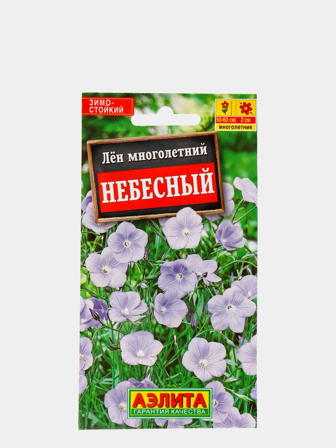 Лен Многолетний Небесный Фото