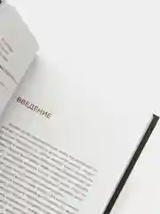 Ограбление Instagram. Минимум бюджета, максимум прибыли, Соколовский А.