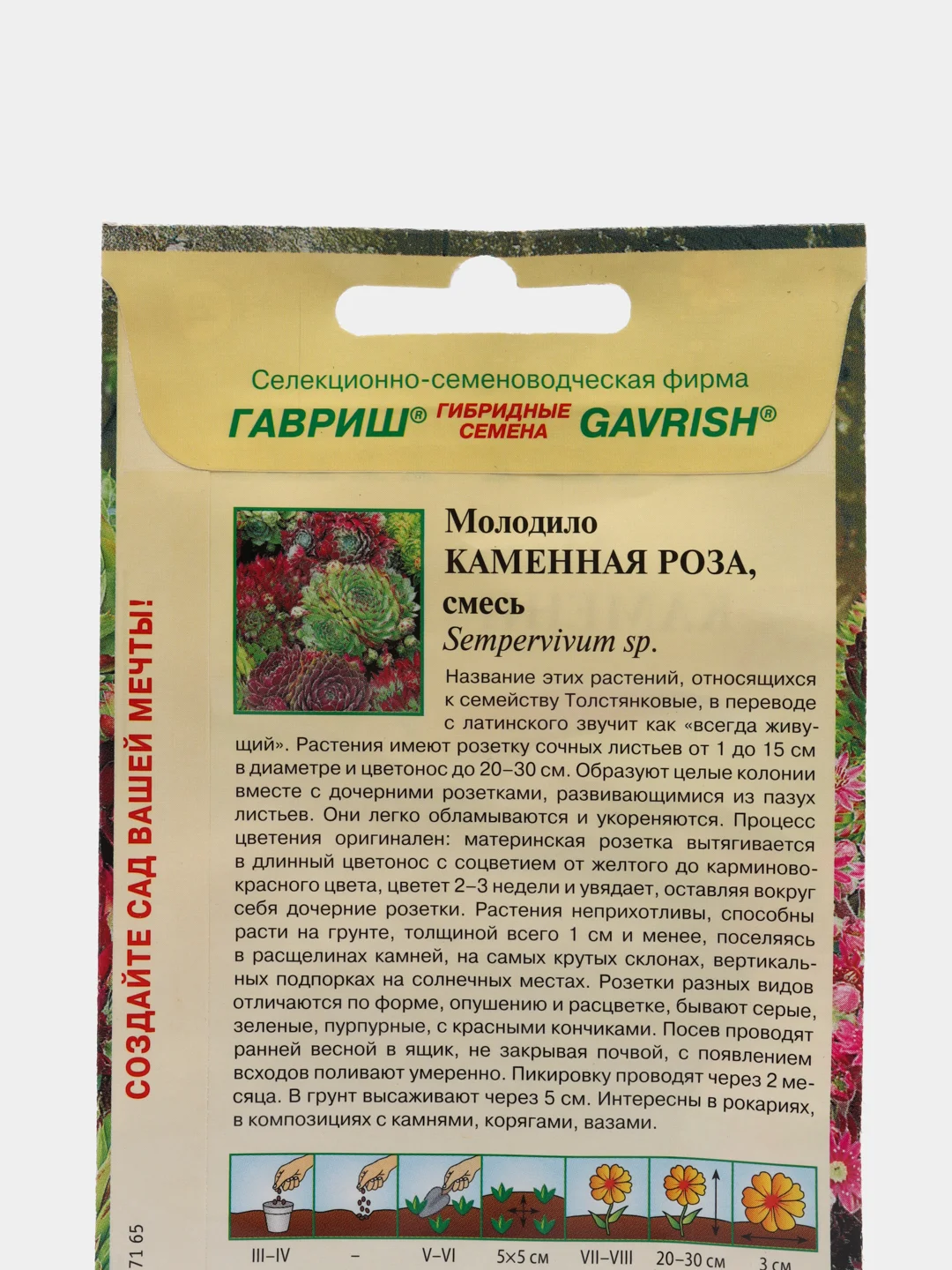 Семена молодило "Каменная роза"