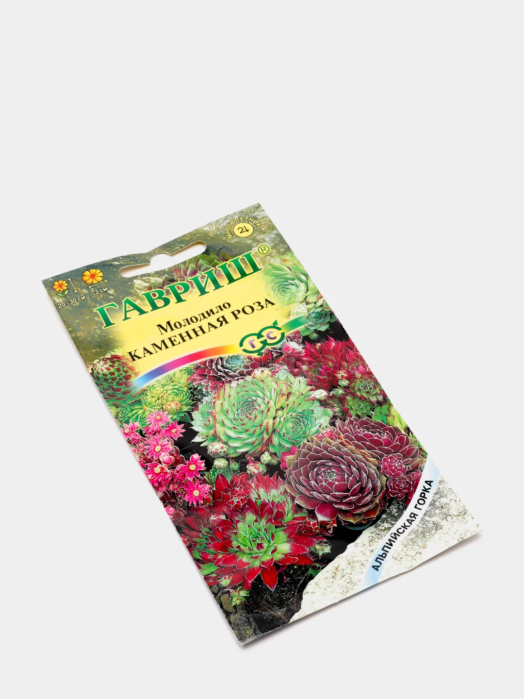 Семена молодило "Каменная роза"