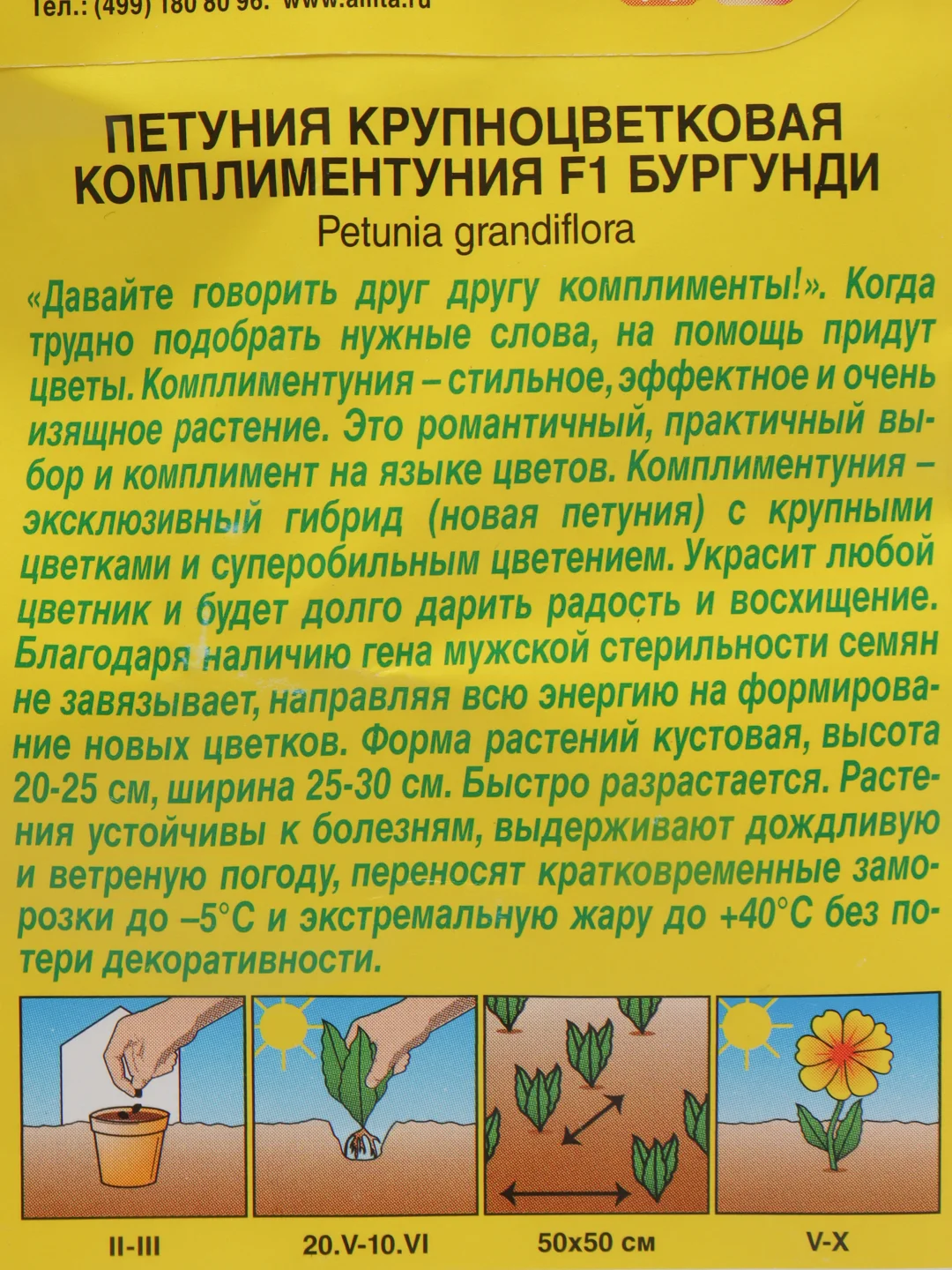 Комплиментуния бургунди F1 крупноцветковая (семена цветы)