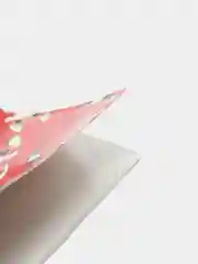 Рыжий обложка для паспорта