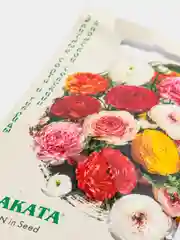 Лютик Ранункулюс Цветущая долина (семена,цветы)