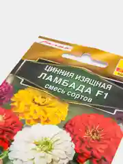 Семена цветов Цинния "Ламбада", смесь
