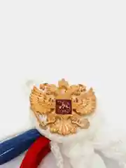 Аксельбант дембельский, триколор